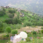 DSC01321.JPG